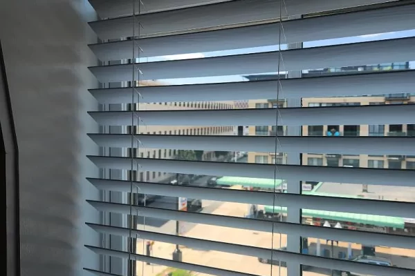 3d0749a7d40ffa1d547c08b0440557ed-uncropped_scaled_within_1536_1152