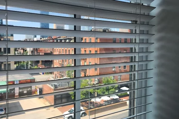 85e85abf691e7e2a8ea1cfbaa8cda6af-uncropped_scaled_within_1536_1152